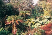 Heligan