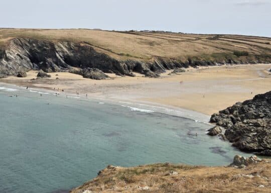 Dolphin spotting in Cornwall