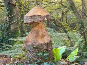 Carving in Tehidy Country Park